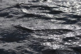 dark waters of a lake close up