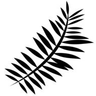 Fern leaf, black Silhouette