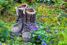 old shoes in the garden