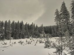 winter landscape in february in black and white image