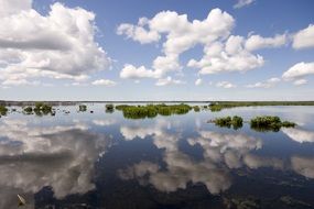 Beautiful lake in Sweden on the landscape