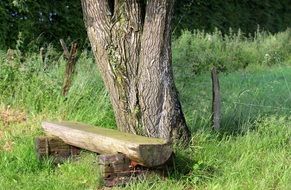 Bank Wooden Bench