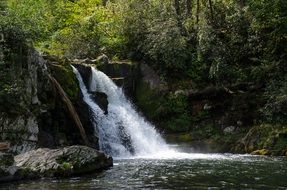 waterfall in forest, Usa, tennessee, great smoky mountains national park