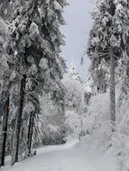 Winter Snow Ice