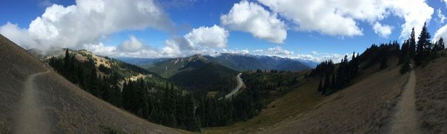 Landscape of the mountains in Olympic National Park