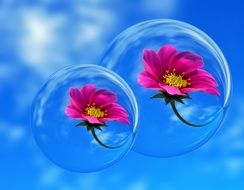 Beautiful yellow,pink and red flowers in soap bubbles at blue sky with white clouds background