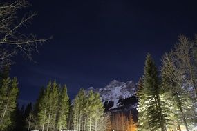 green trees near rocky mountain