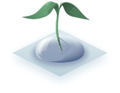 Plant in the water drop clipart