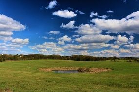small pond on green meadow in countryside, poland