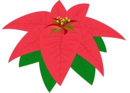 painted Christmas flower