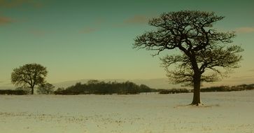 Winter Landscape of snowy field