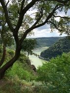 Rhine River streaming in scenic valley at summer