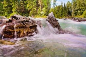 small natural waterfall in the forest