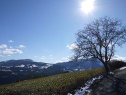 Mountain Snow Sun