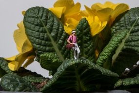 golf player miniature on the plant leaf