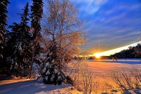 winter morning landscape in Canada