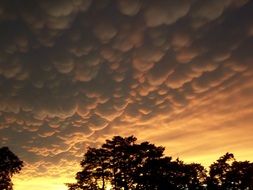 Mammatus Clouds