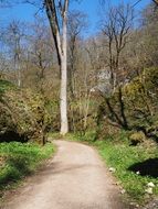 hiking trail in the Wolf Valley