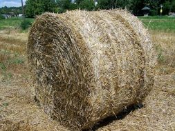 Straw Bale Potential Gabonaszár