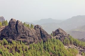 rocks in Gran Canaria