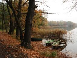 two boats moored at the autumn forest