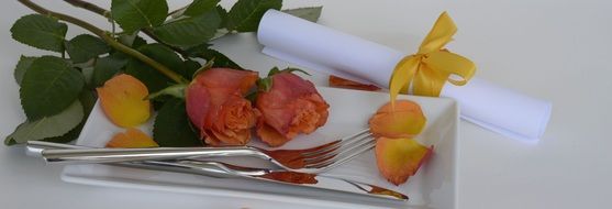 rose flower on the plate