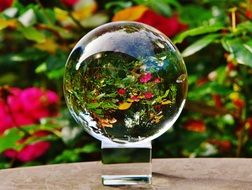 flower meadow behind a glass ball