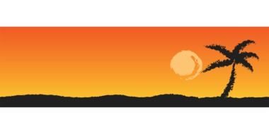 palm tree against orange sky