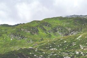 mountains in green grass in switzerland