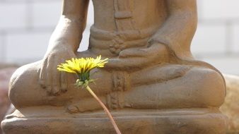 Buddha statue and dandelion flower