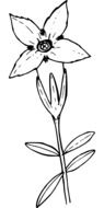 painted flower in the shape of a star