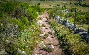 Path Aubrac