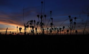 landscape of sunset in the national park in poland