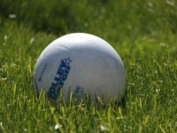white ball on the green grass