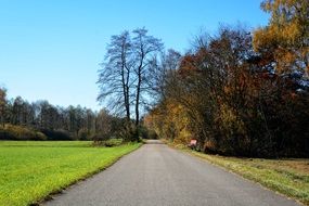 empty road in early autumn