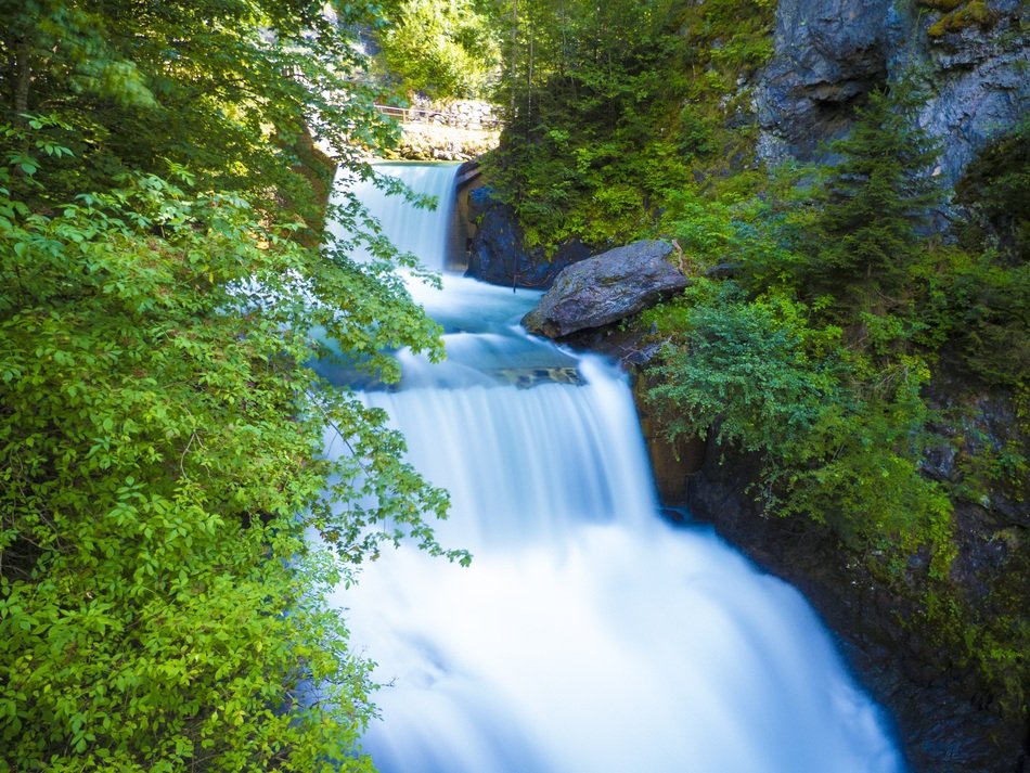 waterfall among green bushes