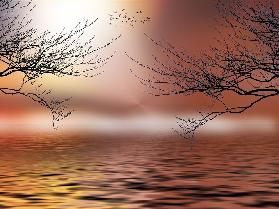 mystical picture of trees over the river