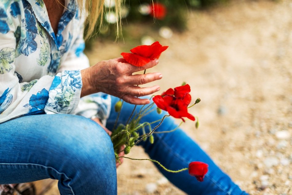 red poppies in the hands of a woman