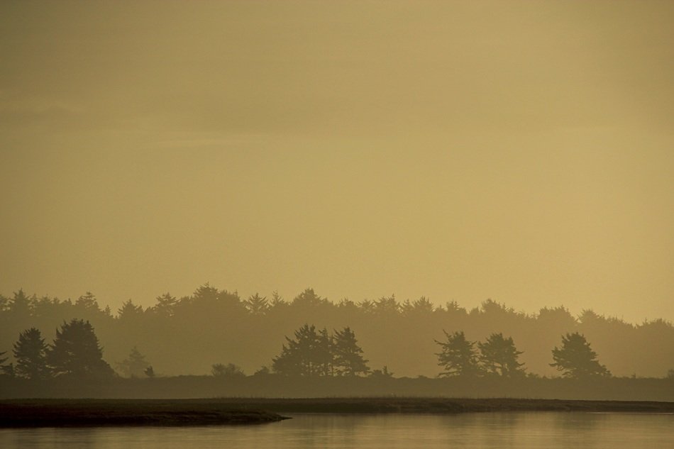 Silhouette of the forest near the water