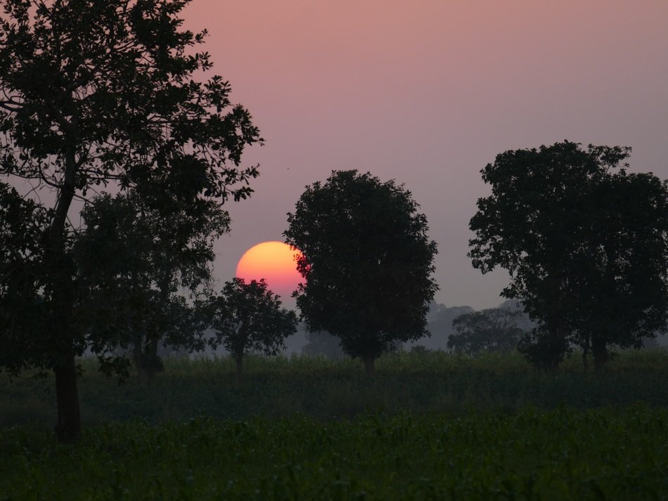red sun in the peaceful evening