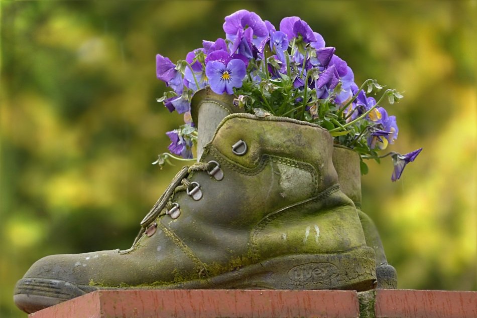 fresh flower in Boots