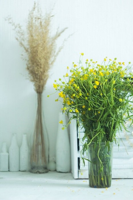 Beautiful and colorful plants and flowers in the vases in summer