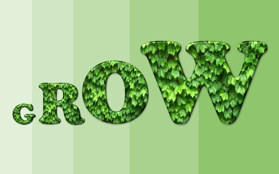 Picture of grow text