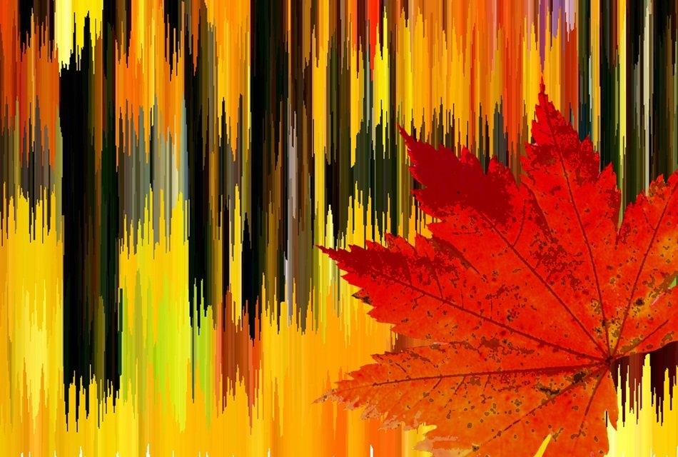 autumn colours as a background