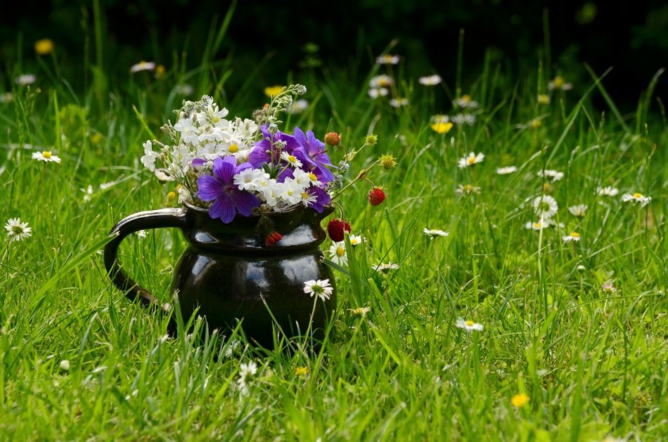 vase with flowers on the meadow