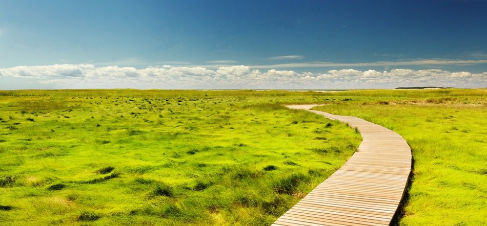 extraordinarily beautiful Pathway