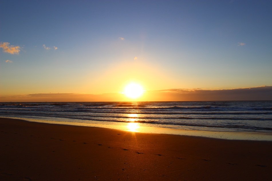 coast of the north sea at sunset