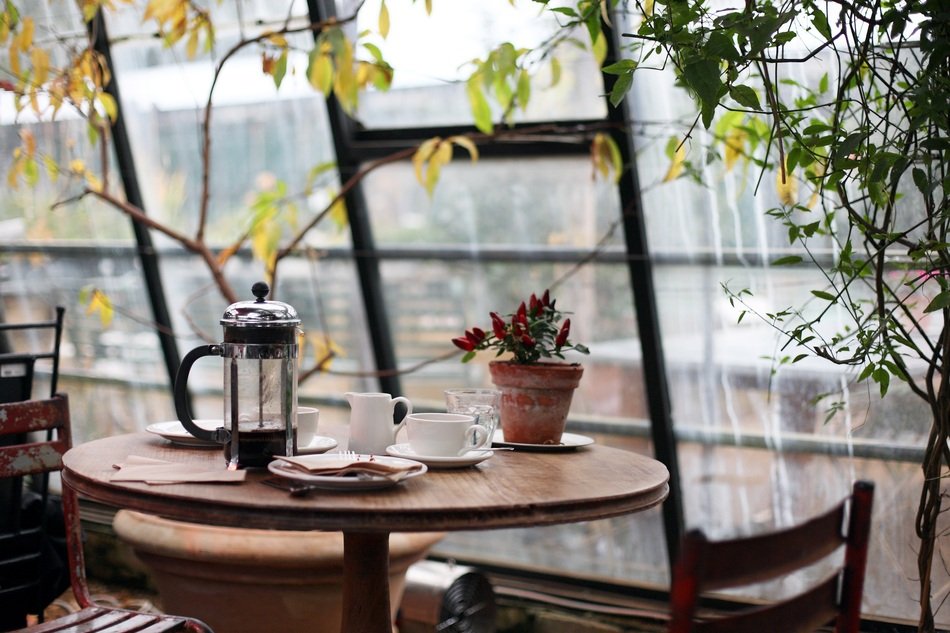 coffee and a flower in a pot stand on the table