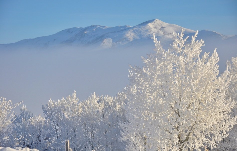 Hoar Frost Snow