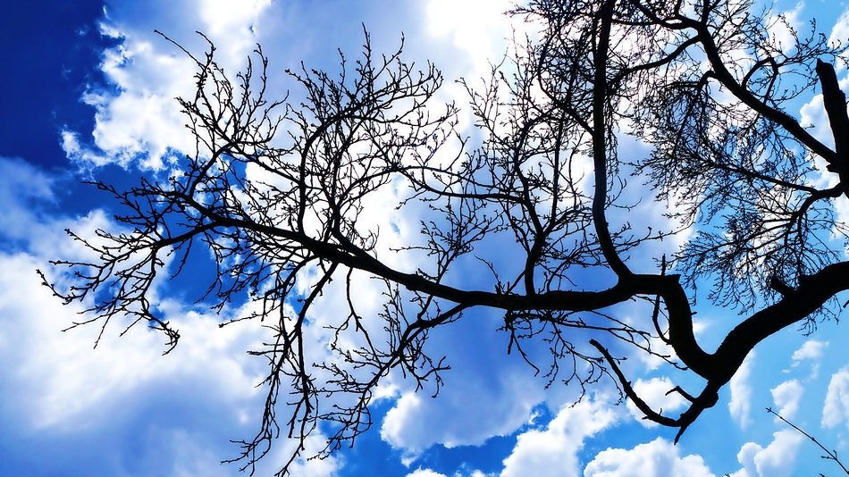 beautiful clouds